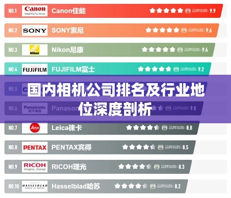 國內(nèi)相機(jī)公司排名及行業(yè)地位深度剖析