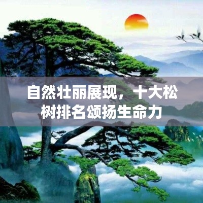 自然壯麗展現(xiàn)，十大松樹排名頌揚生命力