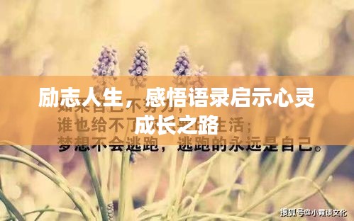 勵志人生，感悟語錄啟示心靈成長之路