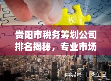 貴陽市稅務(wù)籌劃公司排名揭秘，專業(yè)市場(chǎng)分析助你明智選擇！