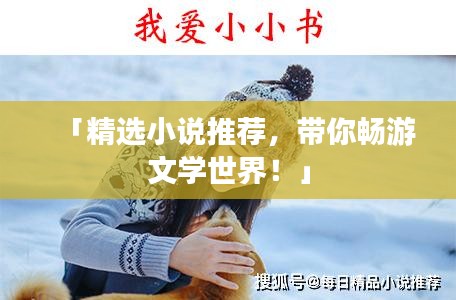 「精選小說推薦，帶你暢游文學世界！」