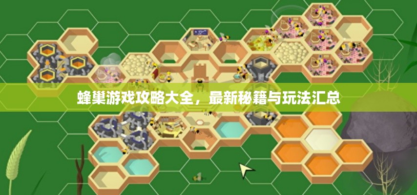 蜂巢游戲攻略大全，最新秘籍與玩法匯總
