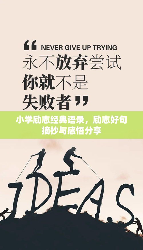 小學(xué)勵志經(jīng)典語錄，勵志好句摘抄與感悟分享