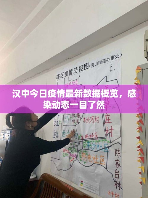 漢中今日疫情最新數(shù)據(jù)概覽，感染動態(tài)一目了然