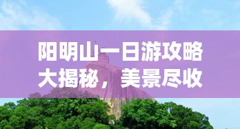 陽明山一日游攻略大揭秘，美景盡收眼底！