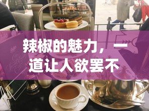 辣椒的魅力，一道讓人欲罷不能的美食探索之旅！