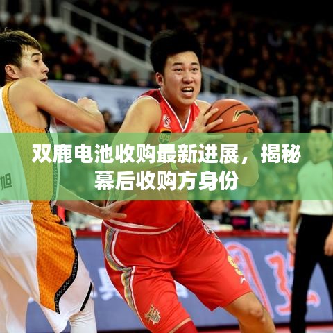 雙鹿電池收購最新進展，揭秘幕后收購方身份