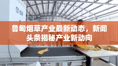 兵貴神速 第2頁(yè)