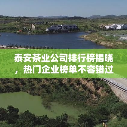 泰安茶業(yè)公司排行榜揭曉，熱門企業(yè)榜單不容錯(cuò)過！