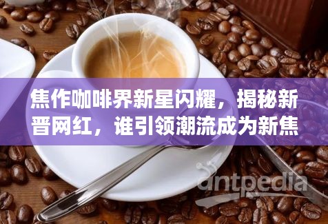 焦作咖啡界新星閃耀，揭秘新晉網(wǎng)紅，誰(shuí)引領(lǐng)潮流成為新焦點(diǎn)？