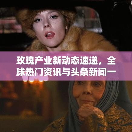 玫瑰產(chǎn)業(yè)新動態(tài)速遞，全球熱門資訊與頭條新聞一網(wǎng)打盡