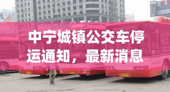 中寧城鎮(zhèn)公交車停運(yùn)通知，最新消息及影響分析