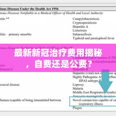 最新新冠治療費(fèi)用揭秘，自費(fèi)還是公費(fèi)？