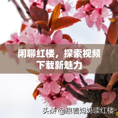 閑聊紅樓，探索視頻下載新魅力