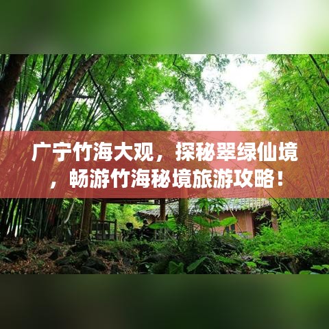 廣寧竹海大觀，探秘翠綠仙境，暢游竹海秘境旅游攻略！