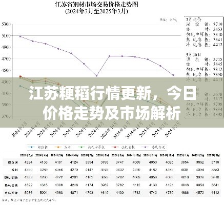 江蘇粳稻行情更新，今日價(jià)格走勢及市場解析