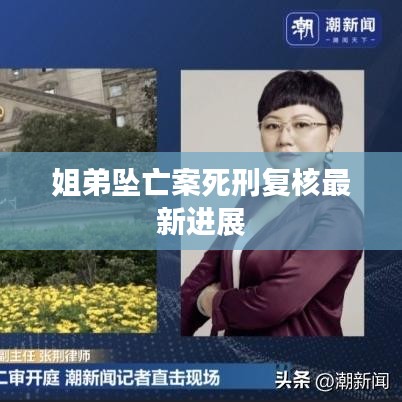 姐弟墜亡案死刑復(fù)核最新進(jìn)展