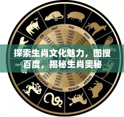 探索生肖文化魅力，圖搜百度，揭秘生肖奧秘