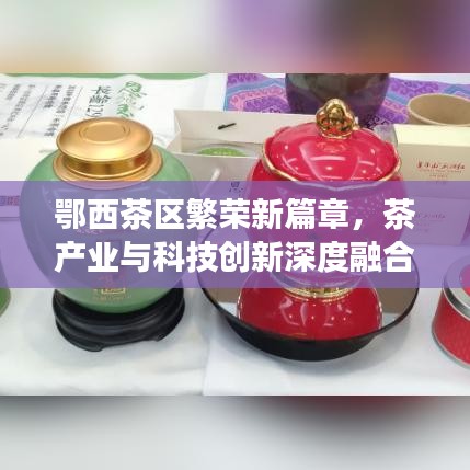 鄂西茶區(qū)繁榮新篇章，茶產(chǎn)業(yè)與科技創(chuàng)新深度融合引領(lǐng)發(fā)展之路