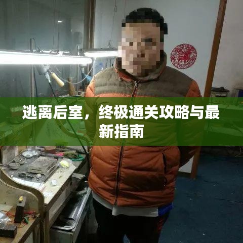 逃離后室，終極通關(guān)攻略與最新指南