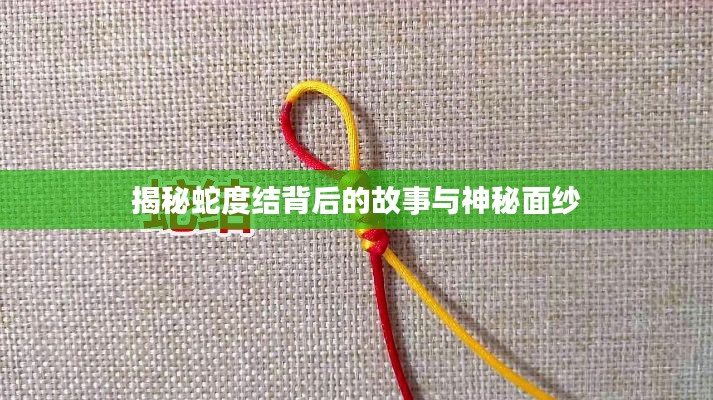 揭秘蛇度結(jié)背后的故事與神秘面紗