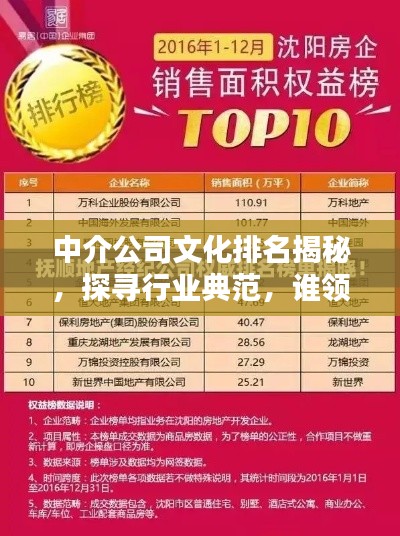 中介公司文化排名揭秘，探尋行業(yè)典范，誰領(lǐng)風(fēng)騷？