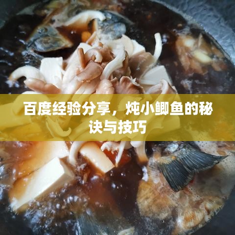 百度經(jīng)驗(yàn)分享，燉小鯽魚的秘訣與技巧