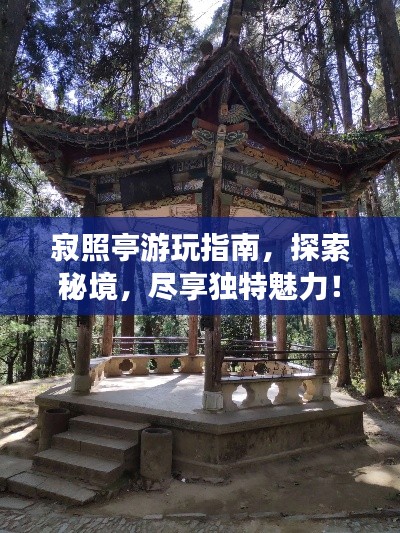 寂照亭游玩指南，探索秘境，盡享獨特魅力！