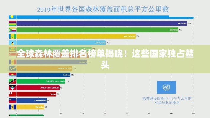 全球森林覆蓋排名榜單揭曉！這些國家獨占鰲頭