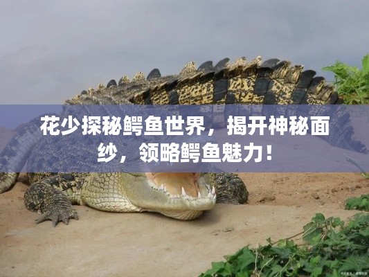 花少探秘鱷魚世界，揭開神秘面紗，領(lǐng)略鱷魚魅力！
