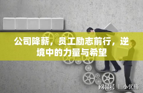 公司降薪，員工勵(lì)志前行，逆境中的力量與希望