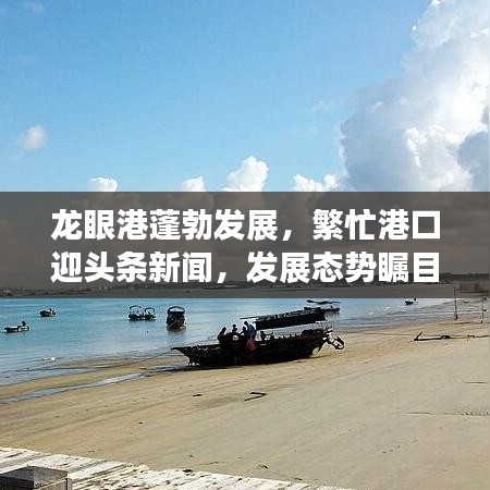 龍眼港蓬勃發(fā)展，繁忙港口迎頭條新聞，發(fā)展態(tài)勢矚目