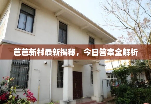 芭芭新村最新揭秘，今日答案全解析