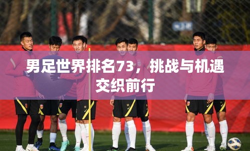男足世界排名73，挑戰(zhàn)與機遇交織前行