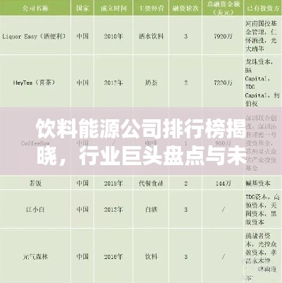 飲料能源公司排行榜揭曉，行業(yè)巨頭盤點(diǎn)與未來趨勢預(yù)測