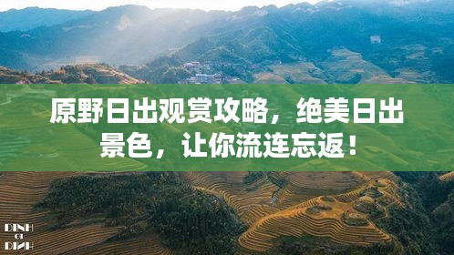 原野日出觀賞攻略，絕美日出景色，讓你流連忘返！