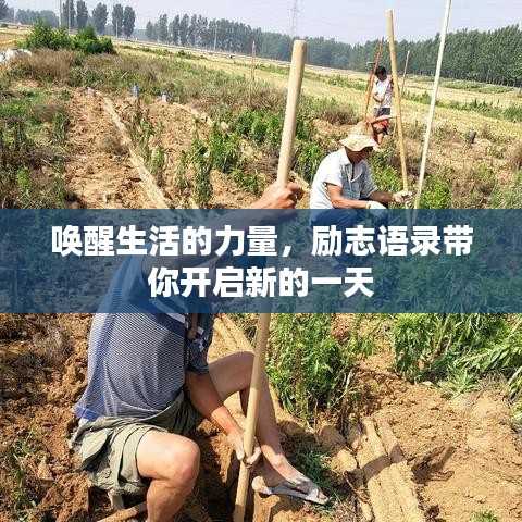 喚醒生活的力量，勵志語錄帶你開啟新的一天