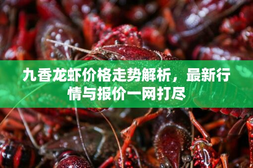 九香龍蝦價(jià)格走勢解析，最新行情與報(bào)價(jià)一網(wǎng)打盡