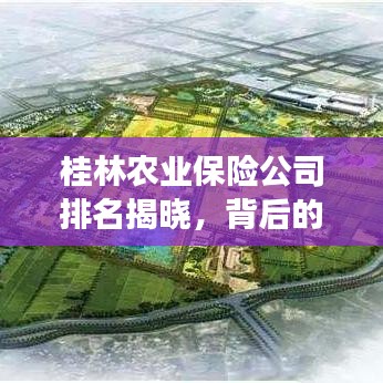 桂林農(nóng)業(yè)保險公司排名揭曉，背后的故事引人關(guān)注