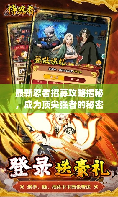 最新忍者招募攻略揭秘，成為頂尖強(qiáng)者的秘密之路！