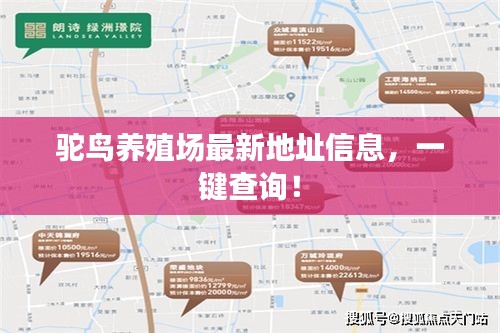 駝鳥(niǎo)養(yǎng)殖場(chǎng)最新地址信息，一鍵查詢(xún)！