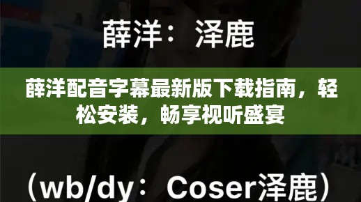 薛洋配音字幕最新版下載指南，輕松安裝，暢享視聽盛宴