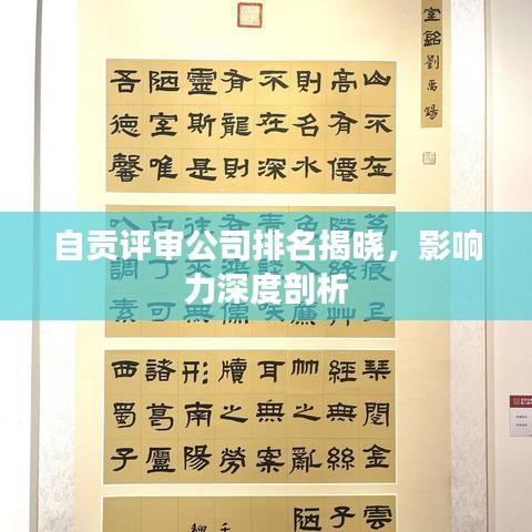 自貢評審公司排名揭曉，影響力深度剖析