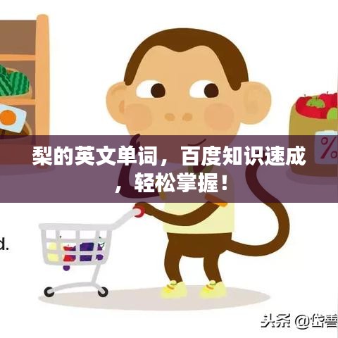 梨的英文單詞，百度知識(shí)速成，輕松掌握！