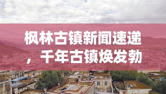 楓林古鎮(zhèn)新聞速遞，千年古鎮(zhèn)煥發(fā)勃勃生機