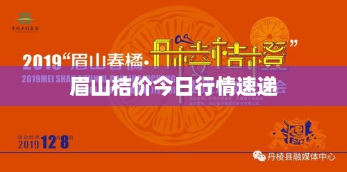眉山桔價(jià)今日行情速遞