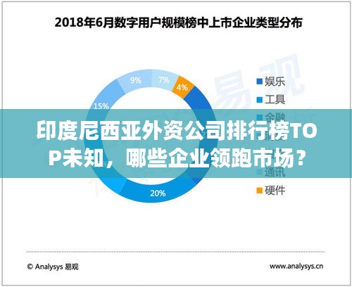 印度尼西亞外資公司排行榜TOP未知，哪些企業(yè)領(lǐng)跑市場(chǎng)？