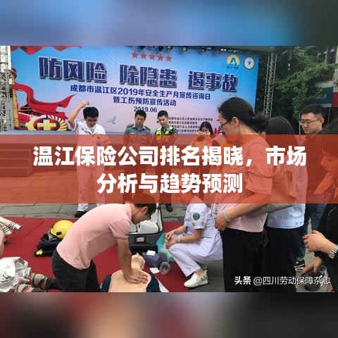 溫江保險(xiǎn)公司排名揭曉，市場分析與趨勢預(yù)測