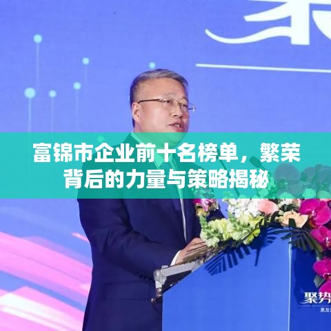 富錦市企業(yè)前十名榜單，繁榮背后的力量與策略揭秘