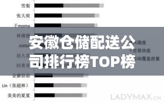 安徽倉儲配送公司排行榜TOP榜及行業(yè)影響力分析